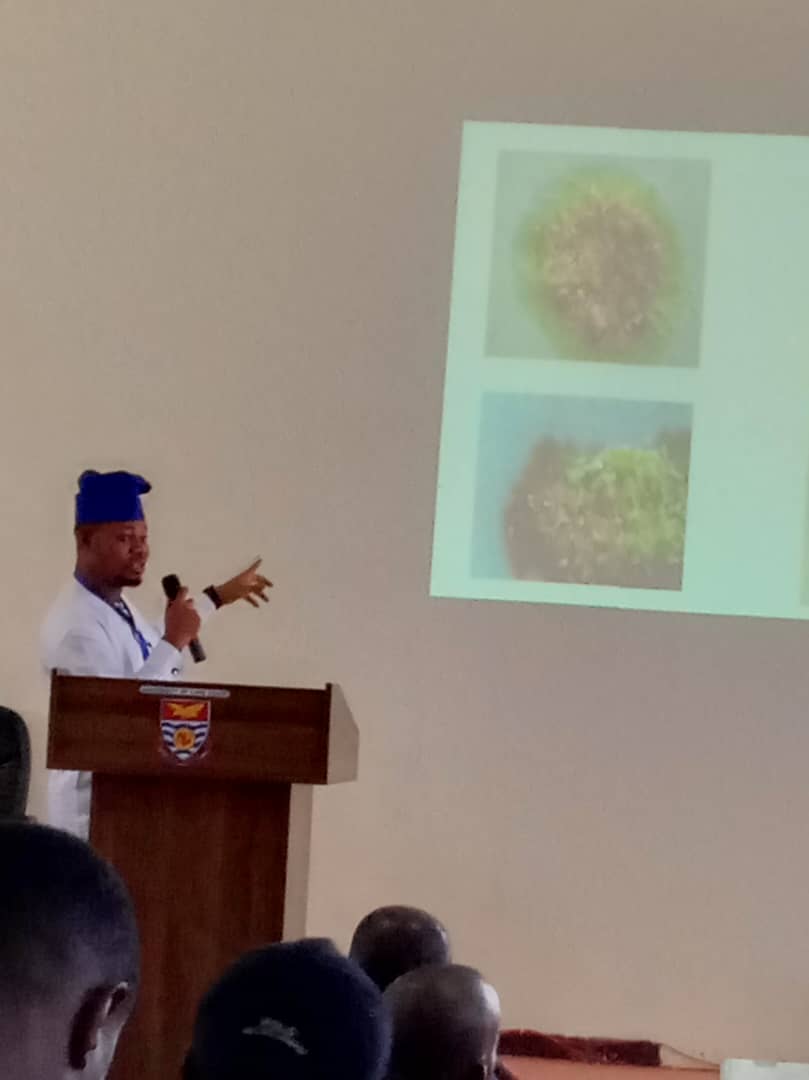 Research Presentation Slide